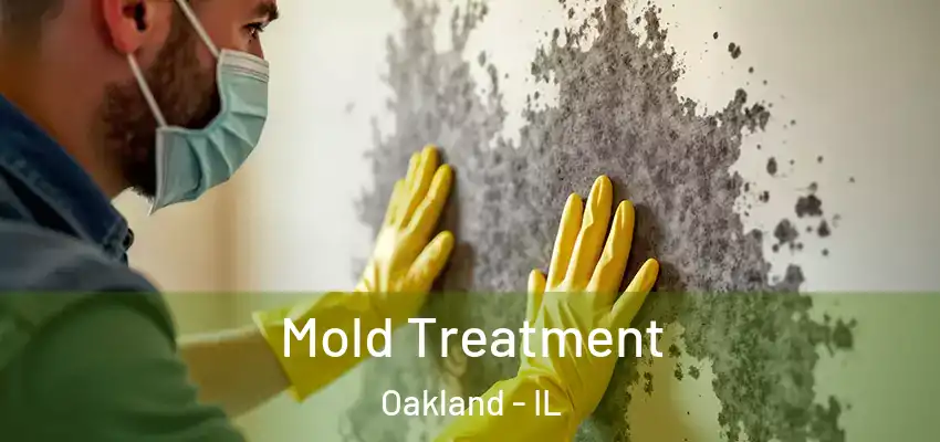  Mold Treatment Oakland - IL