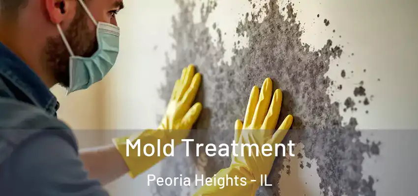  Mold Treatment Peoria Heights - IL