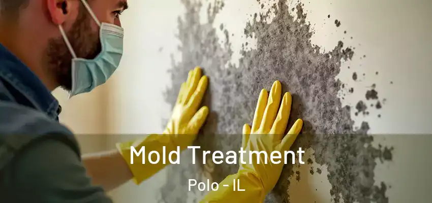  Mold Treatment Polo - IL