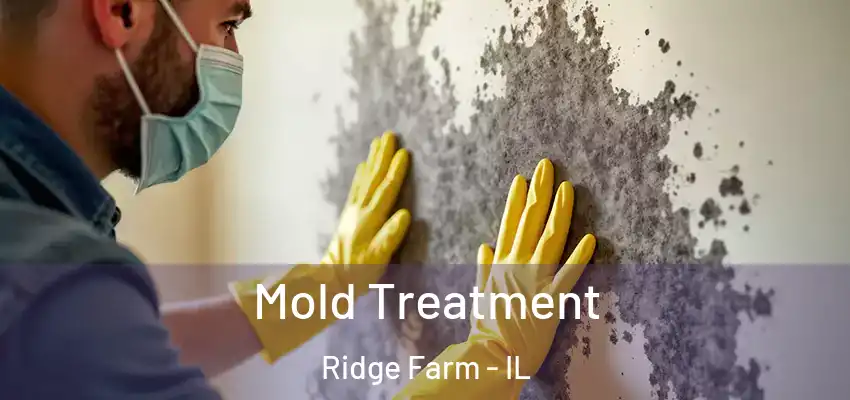 Mold Treatment Ridge Farm - IL