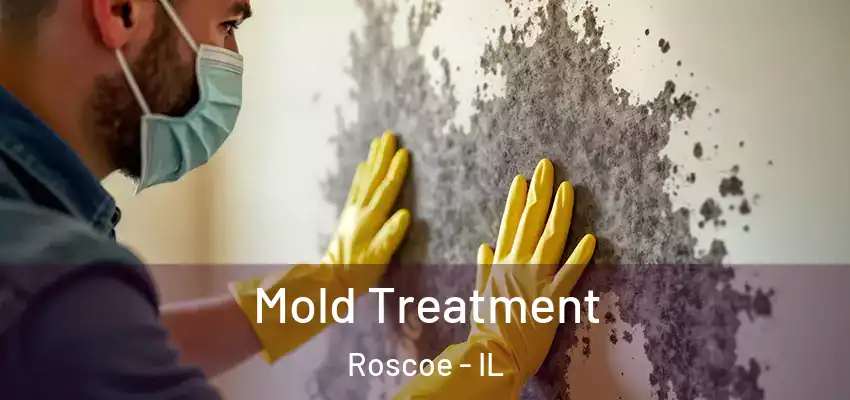  Mold Treatment Roscoe - IL