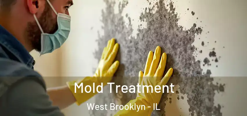  Mold Treatment West Brooklyn - IL