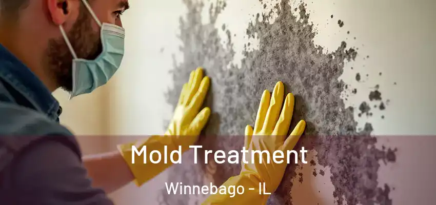  Mold Treatment Winnebago - IL