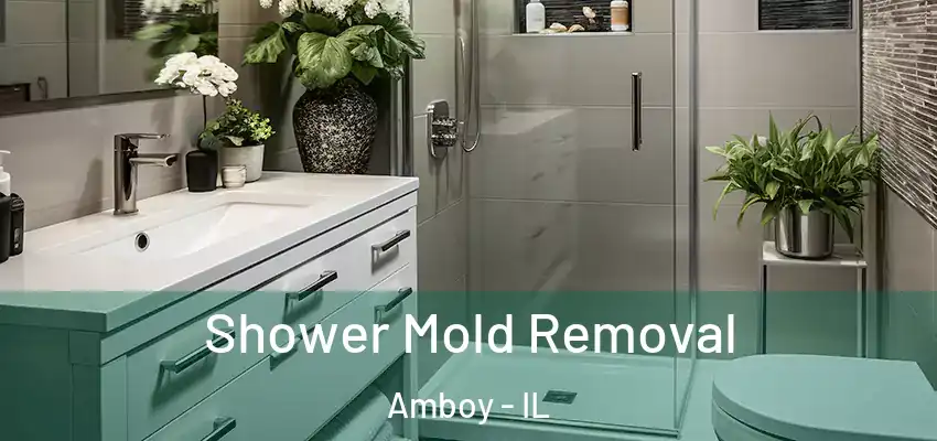  Shower Mold Removal Amboy - IL