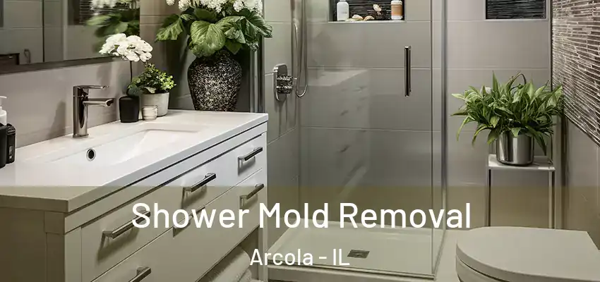 Shower Mold Removal Arcola - IL