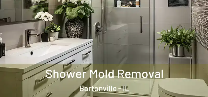  Shower Mold Removal Bartonville - IL