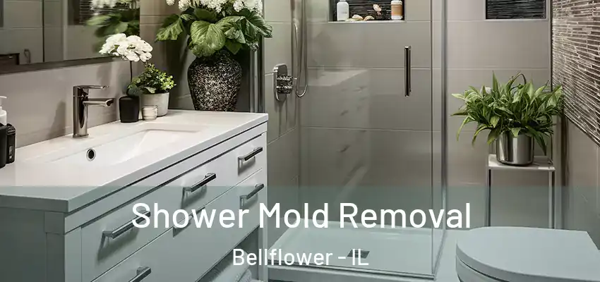  Shower Mold Removal Bellflower - IL