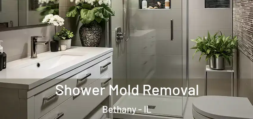  Shower Mold Removal Bethany - IL