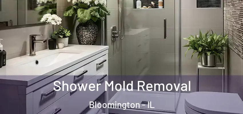  Shower Mold Removal Bloomington - IL