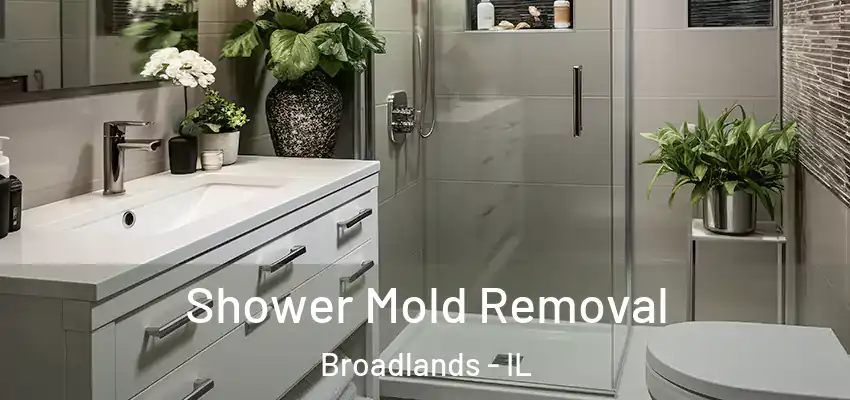  Shower Mold Removal Broadlands - IL