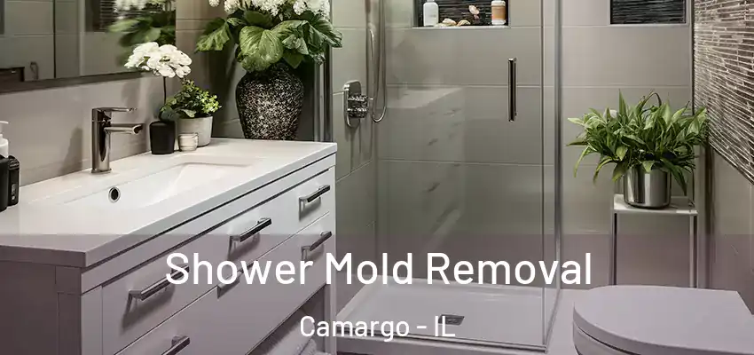  Shower Mold Removal Camargo - IL