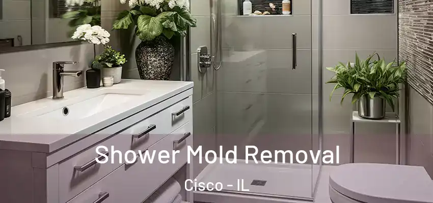  Shower Mold Removal Cisco - IL