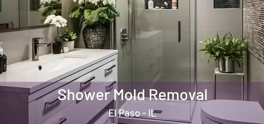  Shower Mold Removal El Paso - IL