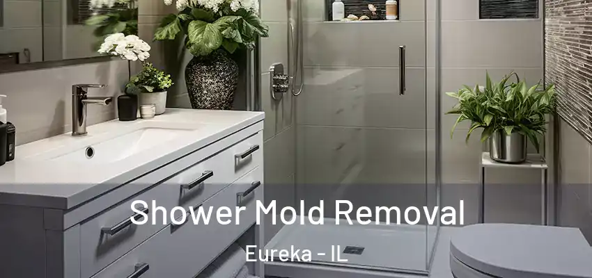  Shower Mold Removal Eureka - IL