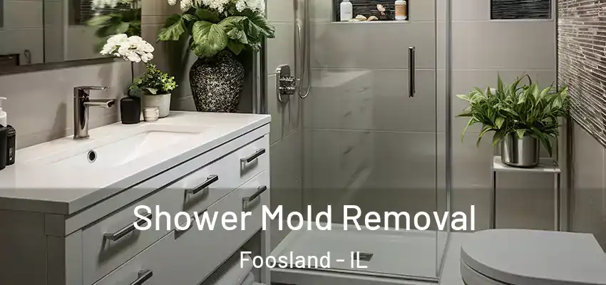  Shower Mold Removal Foosland - IL