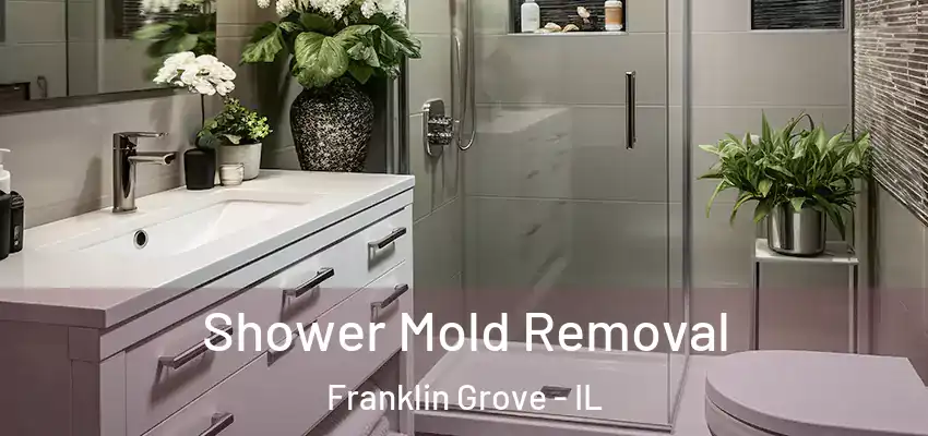  Shower Mold Removal Franklin Grove - IL