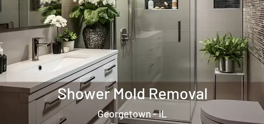  Shower Mold Removal Georgetown - IL