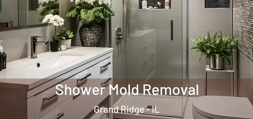  Shower Mold Removal Grand Ridge - IL