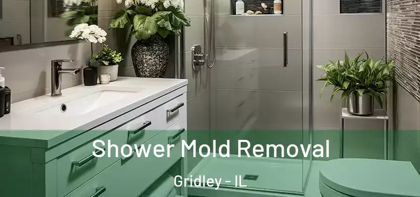  Shower Mold Removal Gridley - IL