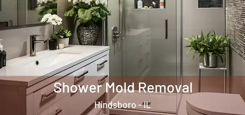  Shower Mold Removal Hindsboro - IL