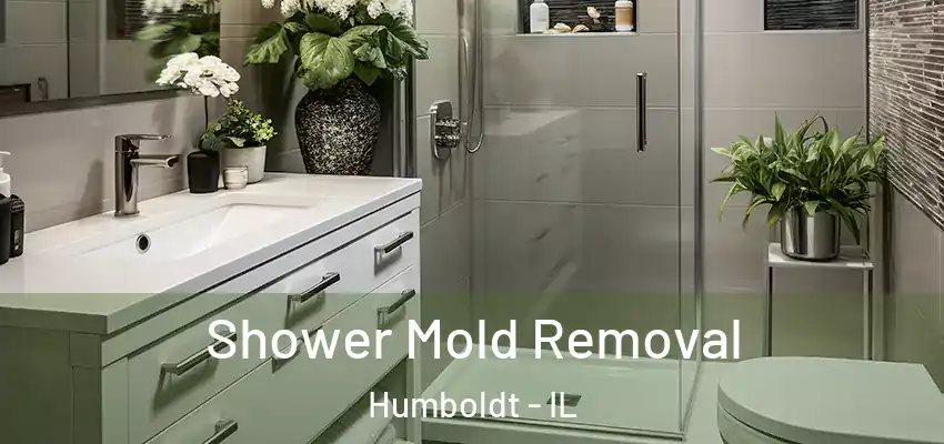  Shower Mold Removal Humboldt - IL