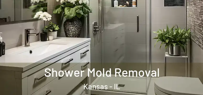  Shower Mold Removal Kansas - IL