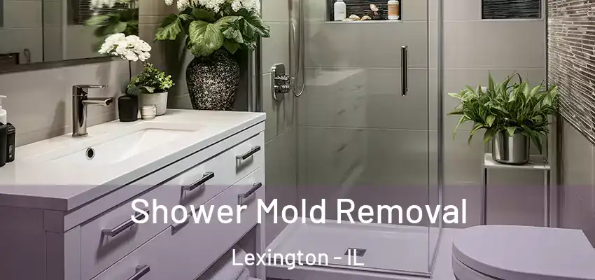  Shower Mold Removal Lexington - IL