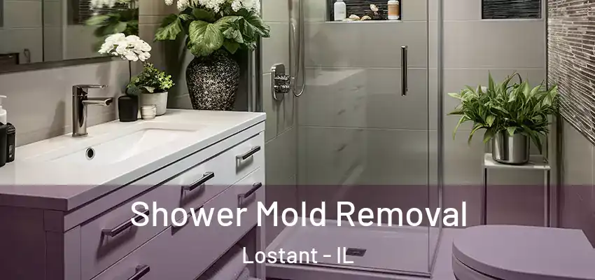 Shower Mold Removal Lostant - IL