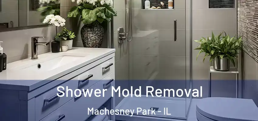  Shower Mold Removal Machesney Park - IL