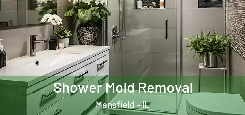  Shower Mold Removal Mansfield - IL