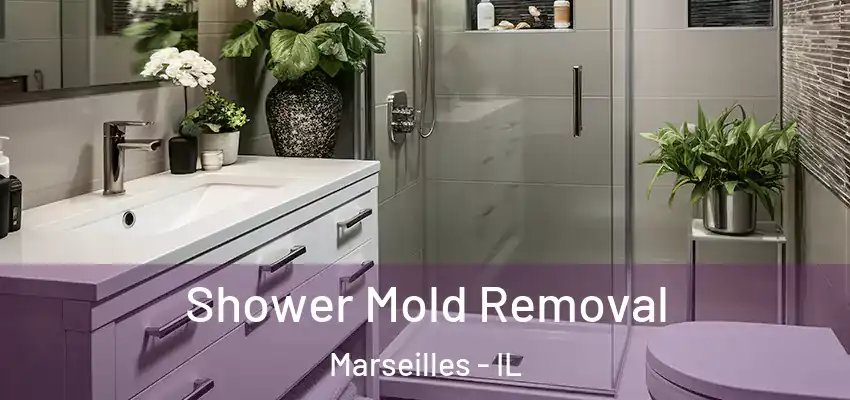  Shower Mold Removal Marseilles - IL