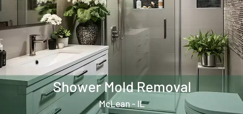  Shower Mold Removal McLean - IL
