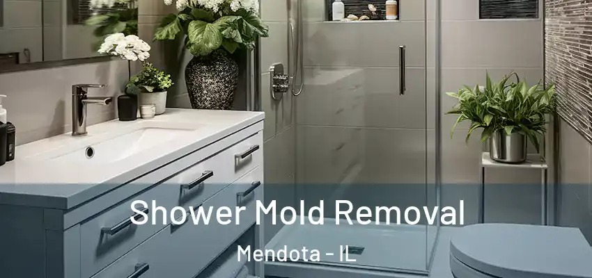  Shower Mold Removal Mendota - IL