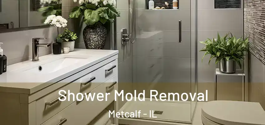  Shower Mold Removal Metcalf - IL