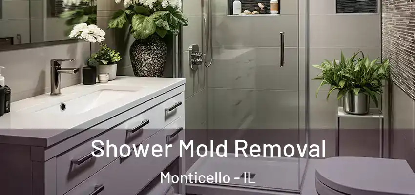  Shower Mold Removal Monticello - IL