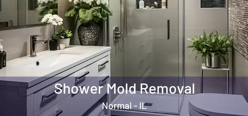  Shower Mold Removal Normal - IL