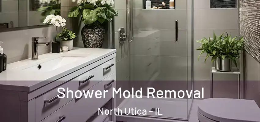  Shower Mold Removal North Utica - IL