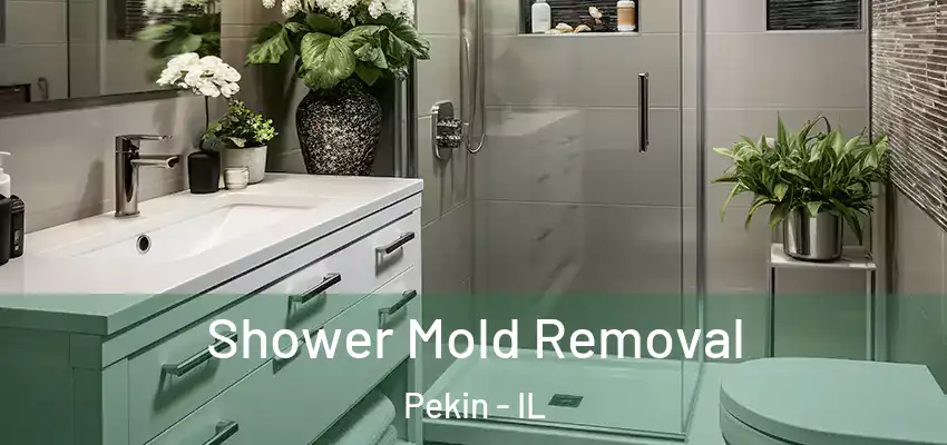  Shower Mold Removal Pekin - IL
