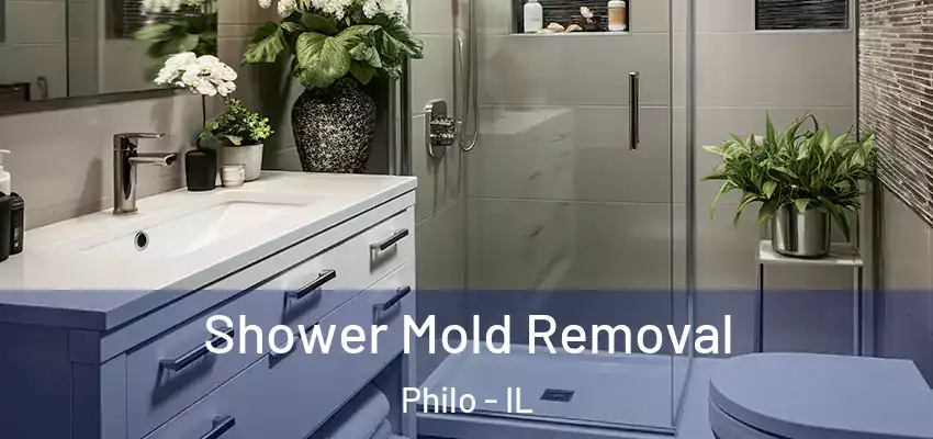  Shower Mold Removal Philo - IL