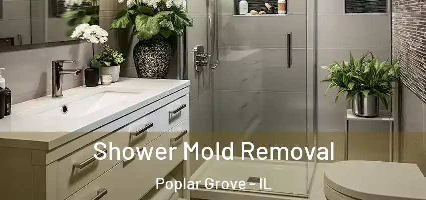  Shower Mold Removal Poplar Grove - IL