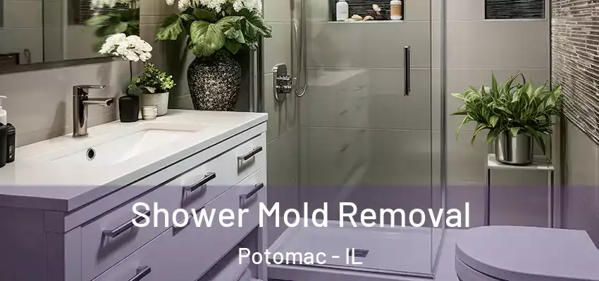  Shower Mold Removal Potomac - IL