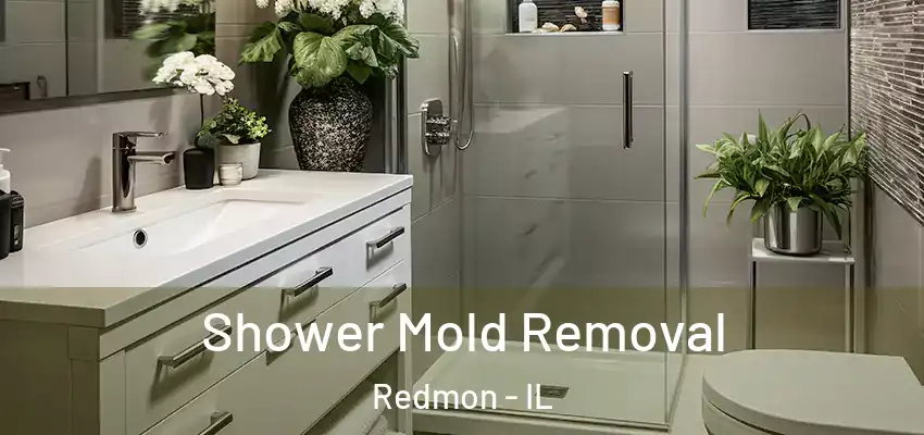 Shower Mold Removal Redmon - IL