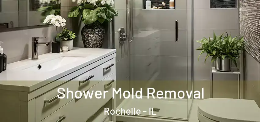 Shower Mold Removal Rochelle - IL