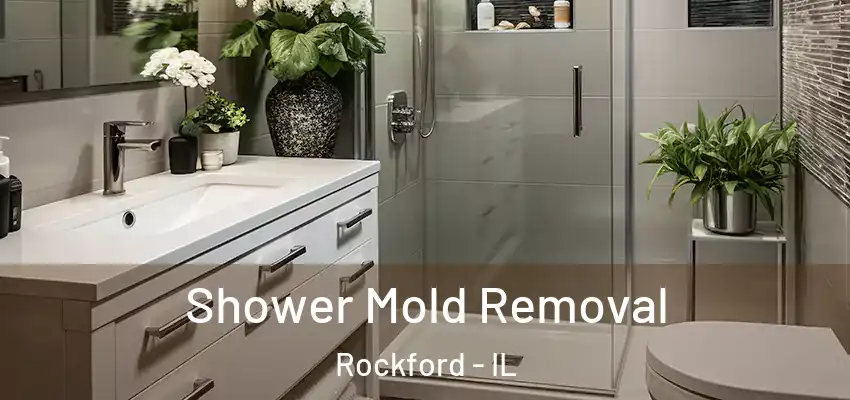  Shower Mold Removal Rockford - IL