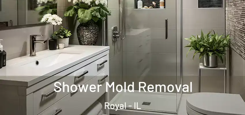  Shower Mold Removal Royal - IL