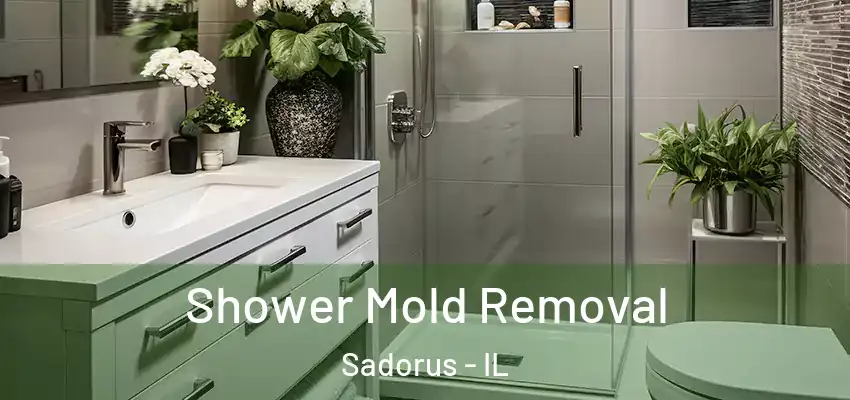 Shower Mold Removal Sadorus - IL