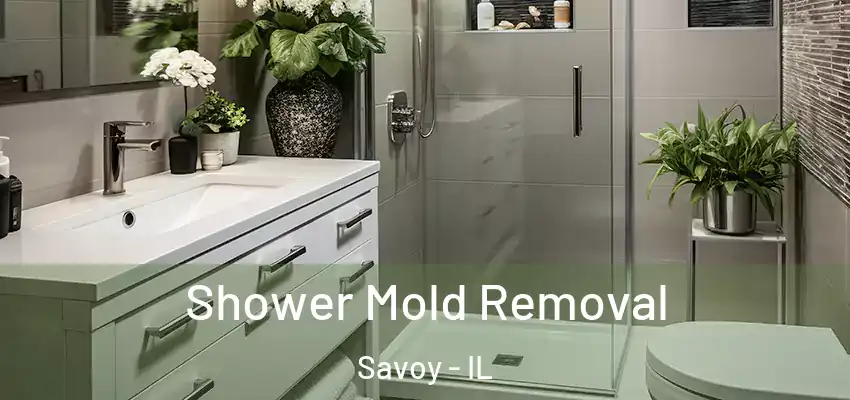  Shower Mold Removal Savoy - IL