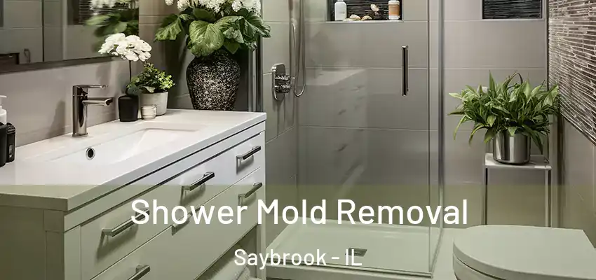  Shower Mold Removal Saybrook - IL
