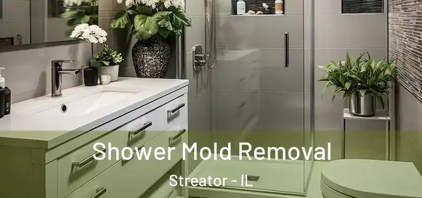  Shower Mold Removal Streator - IL