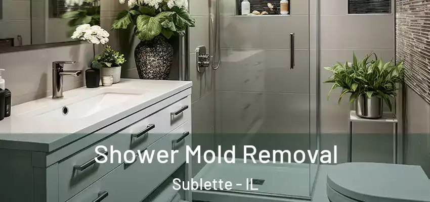 Shower Mold Removal Sublette - IL